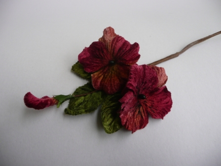 Velvet Pansy Rich Burgundy - Click Image to Close